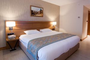 turkiye/konya/eregli/mirel-hotel_bf3a4215.jpg