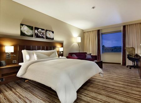turkiye/konya/karatay/hilton-garden-inn-konya_8c2eebde.jpg