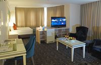 Deluxe Suite Room