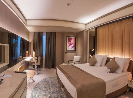 turkiye/konya/selcuklu/bayir-diamond-hotel_f72df489.jpg