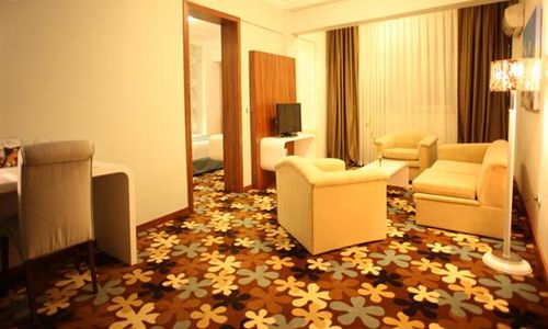 turkiye/manisa/manisa-merkez/buyuk-saruhan-hotel-603405026.jpg
