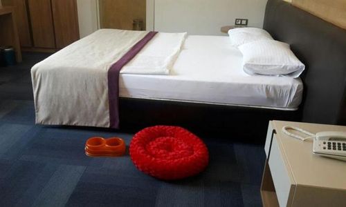 turkiye/manisa/manisa-merkez/spilos-hotel-1077662507.jpg