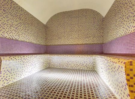 turkiye/manisa/turgutlu/hotel-kaya-magnesia-spa-wellness_edf7d5f4.jpg