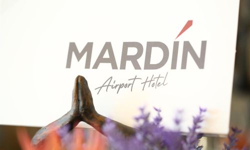 turkiye/mardin/kiziltepe/mardin-airport-otel-1e9a19cc.jpg