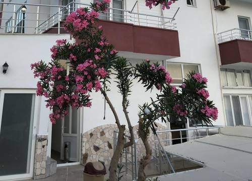 turkiye/mersin/aydincik/pinar-motel_575fc52d.jpeg