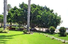 turkiye/mersin/bozyazi/marvel-tree-hotel-535536375.png