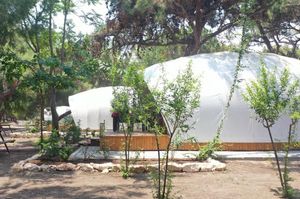 turkiye/mersin/erdemli/erdemli-belediyesi-bungalov-ve-glamping-evleri_988adf95.jpg