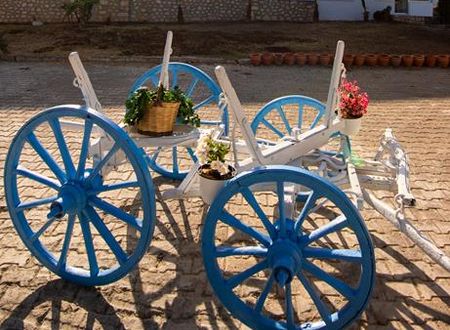 turkiye/mersin/erdemli/mojo-otel-beach_2301fce5.jpg