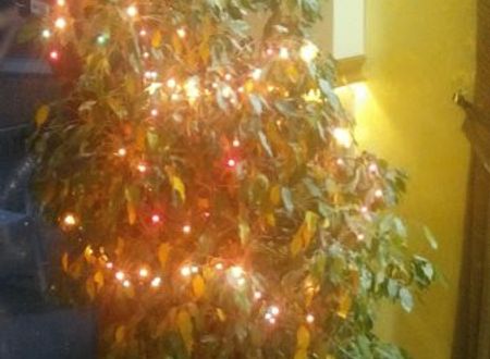 turkiye/mersin/merkez/ugur-hotel-114363e.gif