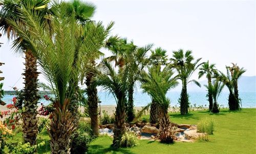 turkiye/mersin/silifke/marpessa-blue-beach-hotel-83039598.jpg