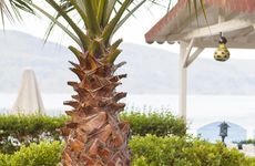 turkiye/mugla/akyaka/baga-hotel-gokova-64642y.jpg