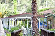 turkiye/mugla/akyaka/baga-hotel-gokova-64644y.jpg