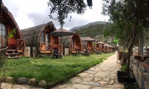 turkiye/mugla/bodrum/1162_t2982438f81d24be7829fb7f324d7d52f.jpg