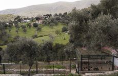 turkiye/mugla/bodrum/182a281c908a421427abc6bfeea0869237c.jpg