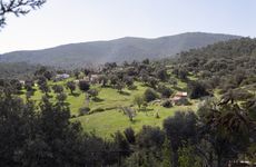 turkiye/mugla/bodrum/1834a5af2095abb48e7a834104a3c8818bd.jpg