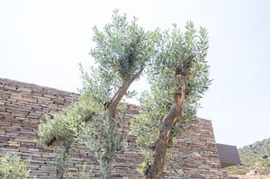 turkiye/mugla/bodrum/197e9ec9da4f4794ade892bf84903ca16dd.jpg