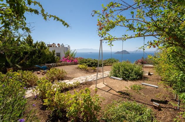 turkiye/mugla/bodrum/31df5ce11c25811b559ec5b85a4d287baee03b5c1462659439035ae6f6ebc29b55717569e8351ce2f6479e79af1e4f1c341ef6793cbc5f01ef8487b868a952a1eb3543327ec3437ca9366334ebcdc811.jpg