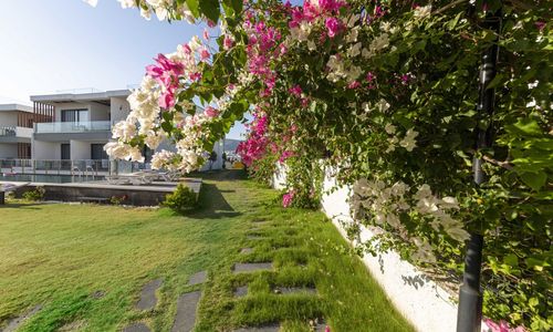 turkiye/mugla/bodrum/4fc92f4c03daca1d3f2a0993bf8237fa68cd3c03ae6026046cc1feb1e006be2830a62d0d7a9da973c18ac7ab44c8b241fd8a210013d1.jpg
