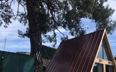 Pinetree Bungalov · 5