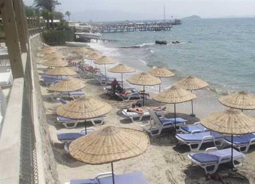 turkiye/mugla/bodrum/ado-beach-hotel-160346759.jpg