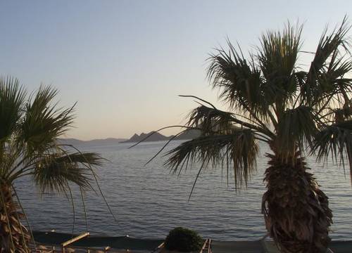 turkiye/mugla/bodrum/ado-beach-hotel-91341_.jpg