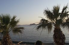 turkiye/mugla/bodrum/ado-beach-hotel-91352m.jpg