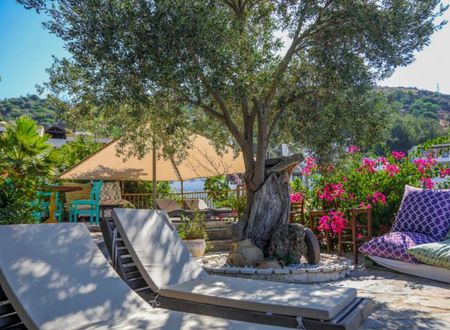 turkiye/mugla/bodrum/aegean-gate-hotel_1d024607.png