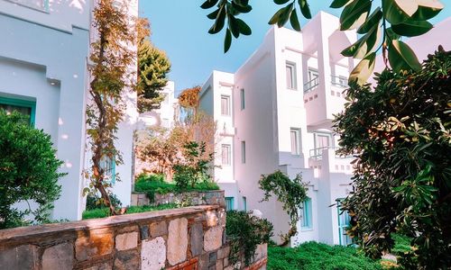 turkiye/mugla/bodrum/afytos-bodrum-hotel_f4485ec6.jpg