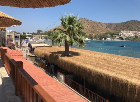 turkiye/mugla/bodrum/aksoy-tas-ev_74bc9842.jpg