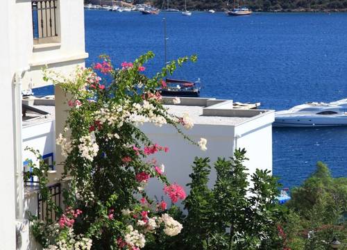 turkiye/mugla/bodrum/aktur-residence-166813a.jpg