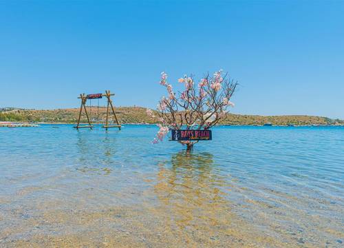 turkiye/mugla/bodrum/alexander-the-great-resort-spa_9fdcc312.jpg