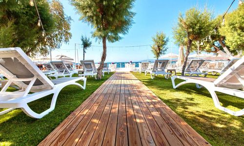 turkiye/mugla/bodrum/alis-hotel-beach_8777b0a6.jpg