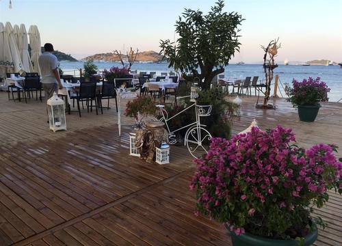 turkiye/mugla/bodrum/alya-turkbuku-beach-hotel-165e3659.jpg