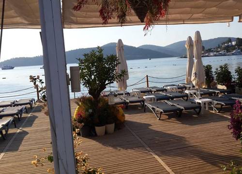 turkiye/mugla/bodrum/alya-turkbuku-beach-hotel_07f6b650.jpeg