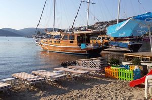 turkiye/mugla/bodrum/alya-turkbuku-beach-hotel_4bfc6da4.jpeg