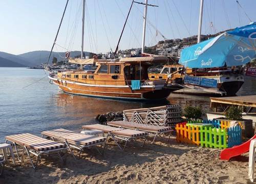 turkiye/mugla/bodrum/alya-turkbuku-beach-hotel_4bfc6da4.jpeg