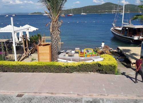 turkiye/mugla/bodrum/alya-turkbuku-beach-hotel_5cb198f9.jpeg