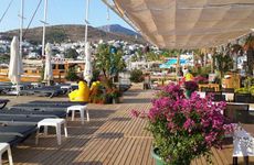 turkiye/mugla/bodrum/alya-turkbuku-beach-hotel_9fcf88a5.jpeg