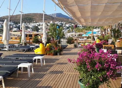 turkiye/mugla/bodrum/alya-turkbuku-beach-hotel_9fcf88a5.jpeg