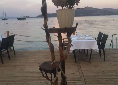 turkiye/mugla/bodrum/alya-turkbuku-beach-hotel_cd37116d.jpeg