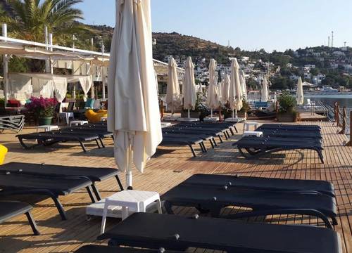 turkiye/mugla/bodrum/alya-turkbuku-beach-hotel_e8cc9825.jpeg