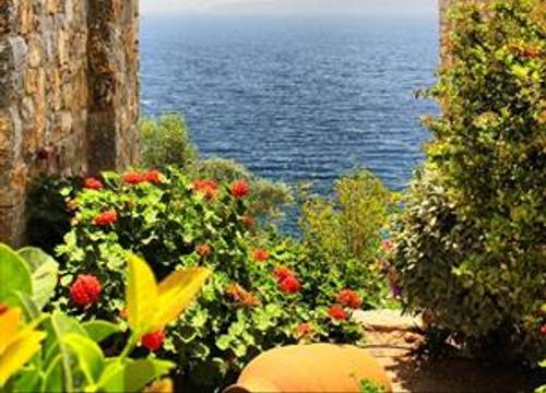 turkiye/mugla/bodrum/arion-resort-hotel-1024592912.jpg
