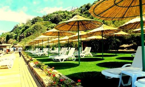 turkiye/mugla/bodrum/arion-resort-hotel-1282388202.jpg