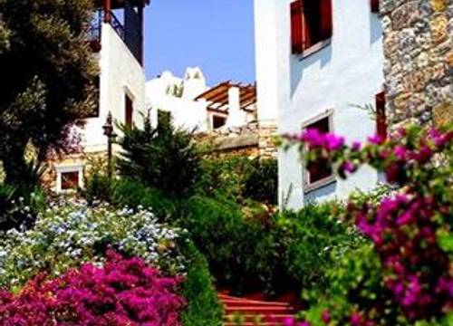 turkiye/mugla/bodrum/arion-resort-hotel-1361782938.jpg