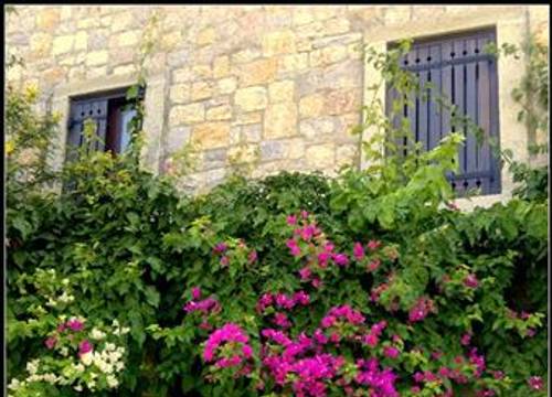 turkiye/mugla/bodrum/arion-resort-hotel-712691001.jpg