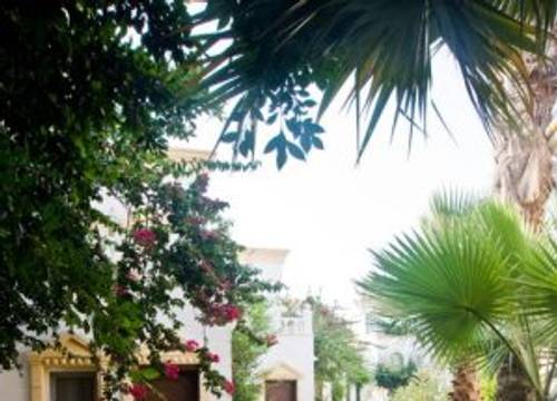 turkiye/mugla/bodrum/art-suites-hotel-bodrum-50106n.jpg