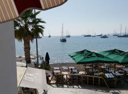 turkiye/mugla/bodrum/artemis-hotel-bodrum_7bc94e50.jpg