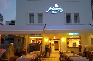 turkiye/mugla/bodrum/artemis-hotel-bodrum_d97666e9.jpg