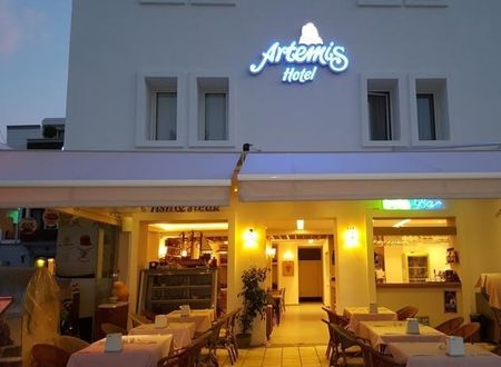 turkiye/mugla/bodrum/artemis-hotel-bodrum_d97666e9.jpg