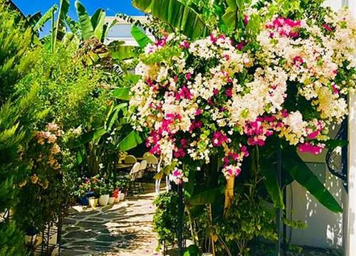 turkiye/mugla/bodrum/artunc-boutique-hotel-3ec97a49.png